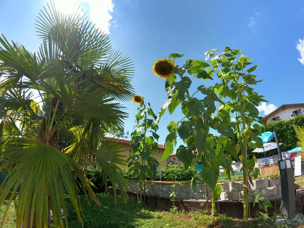Casa Charlie Apartment Arcisate ภายนอก รูปภาพ